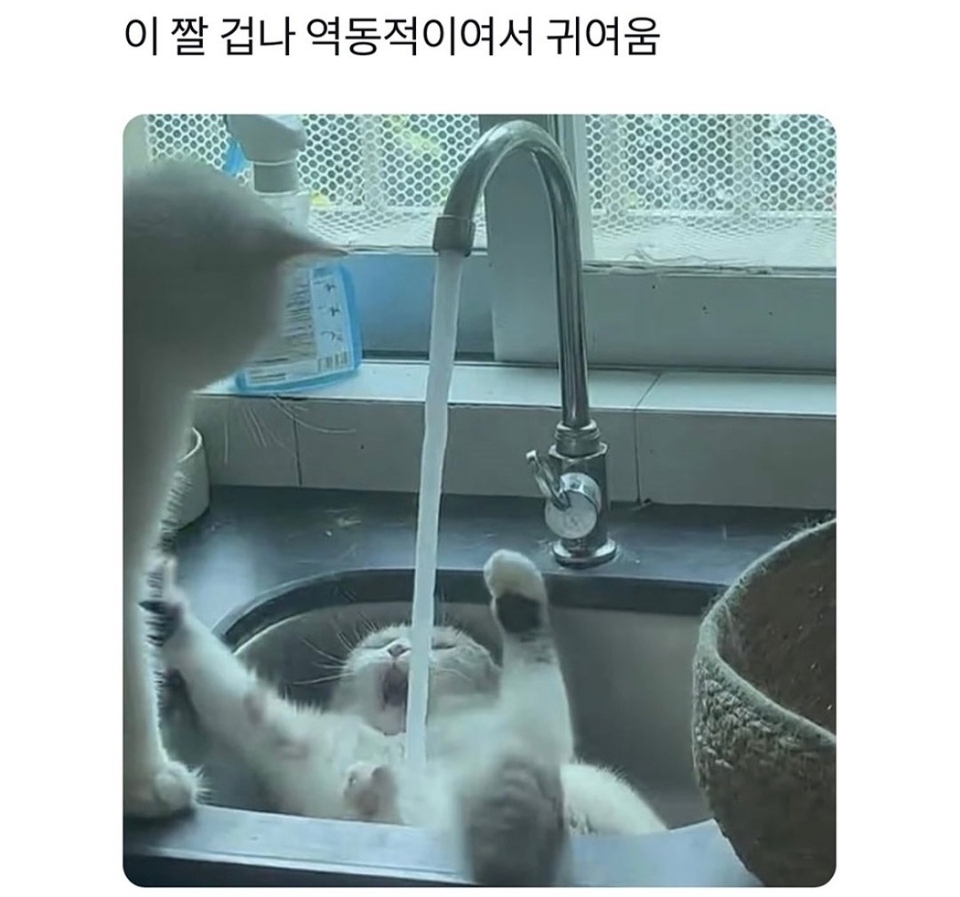 20260604034618_4cc066c6d24d72dd2a.jpg