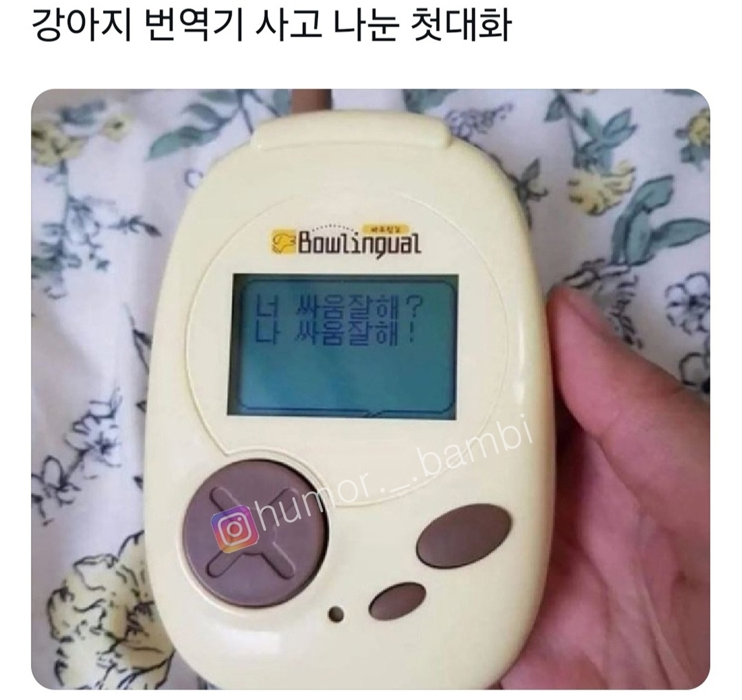 20260604034646_b5d570377530077b00.jpg