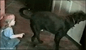20260604104349_e1cc32fda7cbc873b7.gif