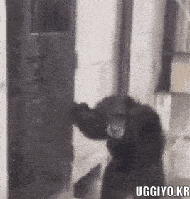 20260604104430_4994bf1dcbc2479d7d.gif