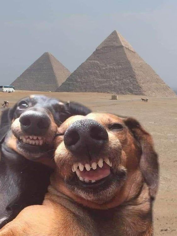 20260604105451_84afcdd4731c66c5f6.jpg