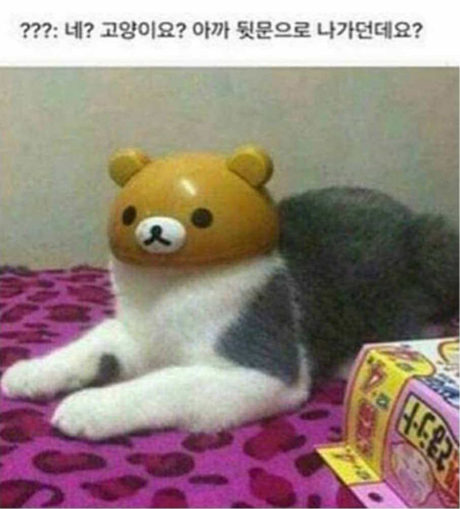 20260604110546_1915387213aa1dd919.jpg