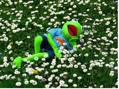 20260604110905_ef5eb30a88260f7e71.png