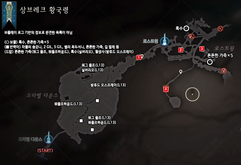 로스트윙 이미지