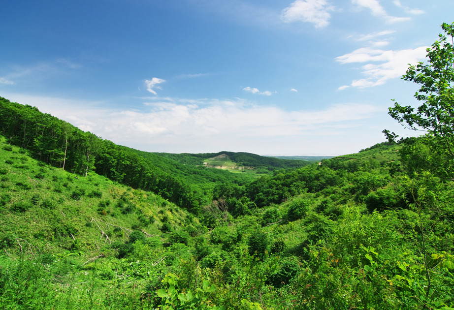 20260524075850_a6c7481cfcd5cbc166.jpg