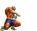 20260530062934_a4cdc6785f12dfb184.gif