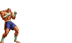 20260530062938_8a3e50895eb4b2f075.gif