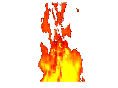 20260530063648_b5d1a161f707796d94.gif