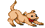 20260530065443_8e31ead6ac526d124d.gif