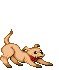 20260530065446_b50fec31e16e53ce9d.gif