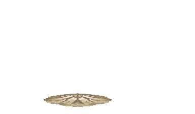 20260530065647_c368ddb8fa9314799f.gif