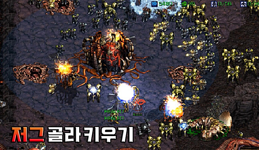 20260525082202_c893f892bfab5052ed.jpg