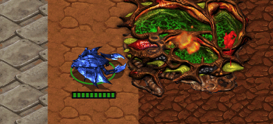 20260525084209_c481fa6f01f6f42cdd.gif