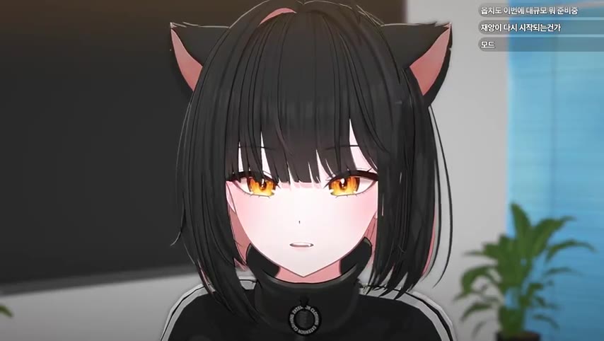 금사향